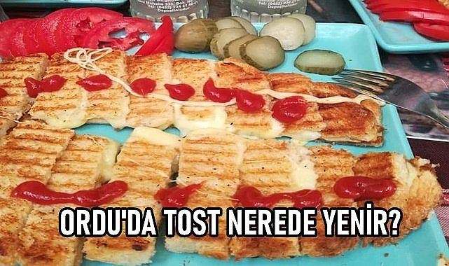 Ordu Tostu yapılan 10 ünlü mekan