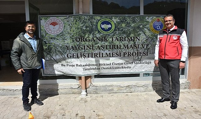 Organik fındık üretimi Ordu&#039;nun O ilçesinde yaygınlaştı