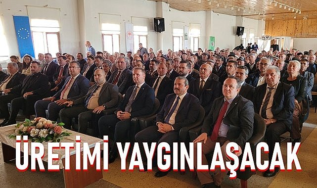 Tescilli Akkuş Şeker Fasulyesinin üretimi yaygınlaşacak