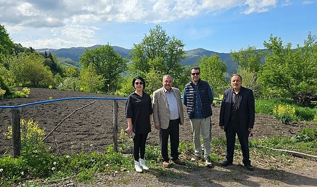 Anavatanı Orta Amerika olan Kırmızı Patatesin Giresun&#039;da deneme üretimi yapılıyor, Sağlık için faydaları