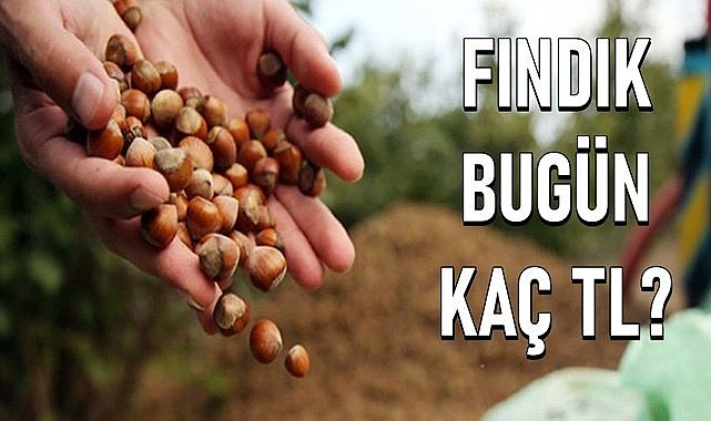 Fındık fiyatı 04.05.2024