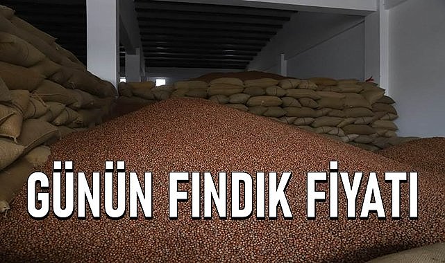 Fındık fiyatı 12.05.2024