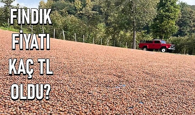 Fındık fiyatı 20.05.2024