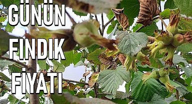 Fındık fiyatı 26.05.2023