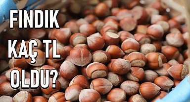 Fındık fiyatı 27.05.2024