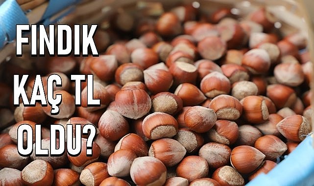 Fındık fiyatı 27.05.2024