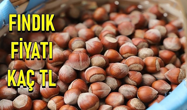 Fındık fiyatı 29.05.2024