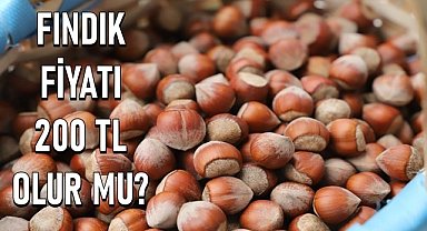 Fındık fiyatı için 200 TL söyleniyor
