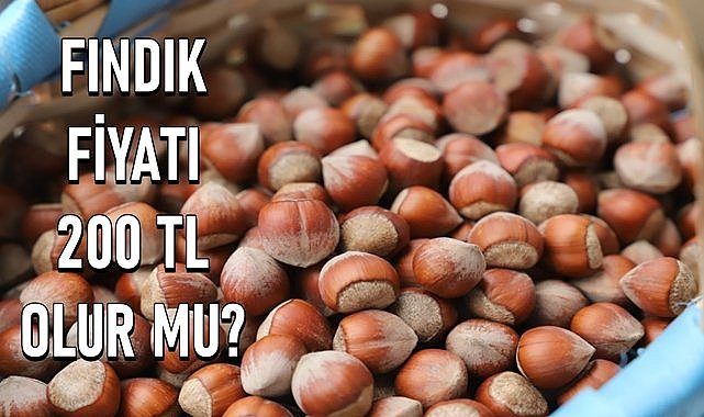 Fındık fiyatı için 200 TL söyleniyor