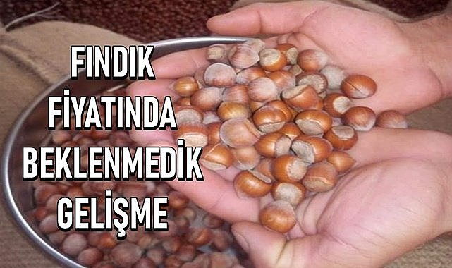 Fındık fiyatı için kimse beklemiyordu! Fındık fiyatı kaç TL oldu?