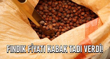 Fındık fiyatı kabak tadı verdi!