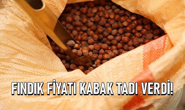 Fındık fiyatı kabak tadı verdi!