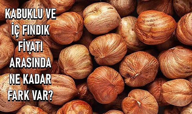 Fındık fiyatı..Kabuklu fındık ile iç fındık fiyatı arasında ne kadar fark var?