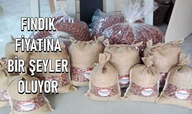 Fındık fiyatına bir şeyler oluyor, fındık fiyatı bugün yükseldi!