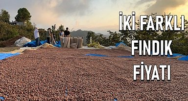 Fındık için iki farklı fiyat