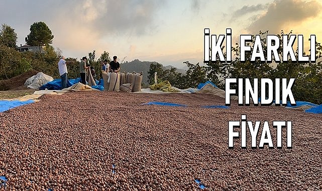 Fındık için iki farklı fiyat