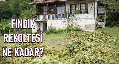 Fındık için yeni rekolte açıklandı, tartışma başladı