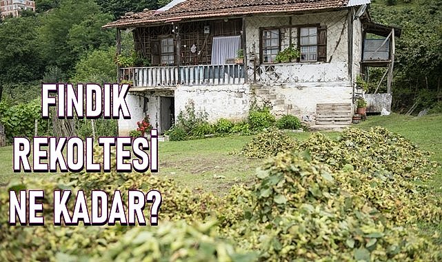 Fındık için yeni rekolte açıklandı, tartışma başladı