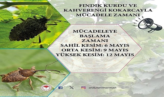 Fındık Kurdu ve Kahverengi Kokarca ile mücadele için tarih verildi