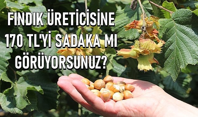Fındık üreticisine 170 TL&#039;yi sadaka mı görüyorsunuz?