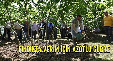 Fındık üreticisine uyarı; Fındıkta verim düşmemesi için bunu yılda iki kez yapın!