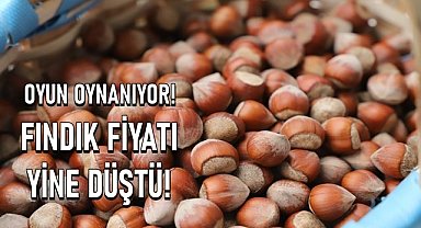 Fındıkta oyun sahneye kondu, fiyatlar yere çakıldı!