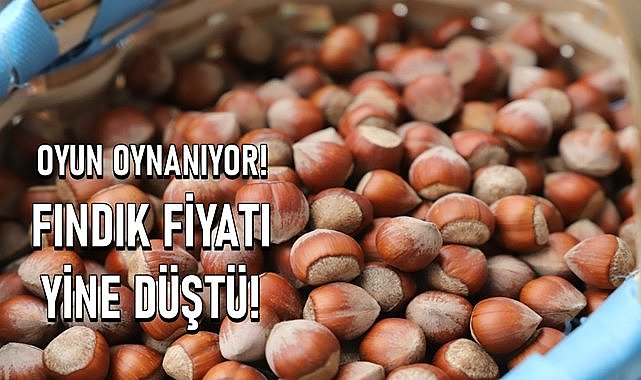 Fındıkta oyun sahneye kondu, fiyatlar yere çakıldı!