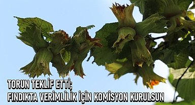 Fındıkta verimliğin artası için komisyon kurulması istendi
