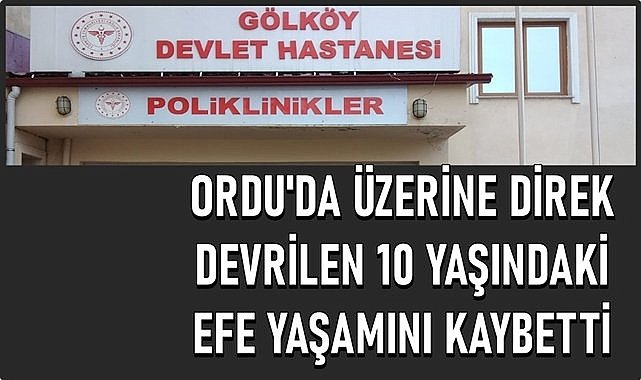 Küçük Efe Ordu&#039;yu yasa boğdu! Telefon direğinin altında kaldı