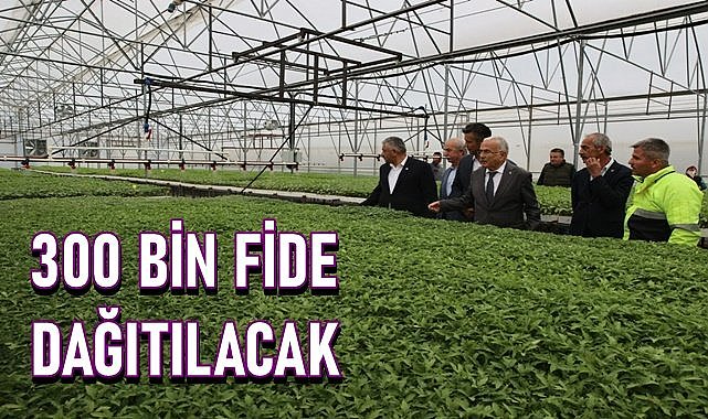 OBB kendi yetiştirdiği 300 bin fideyi çiftçiye dağıtacak!