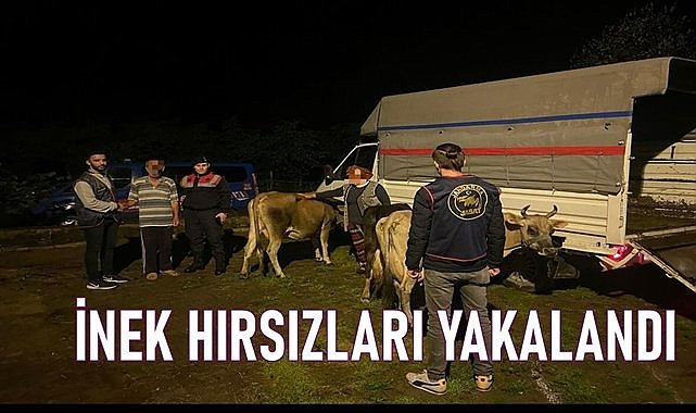 Ordu&#039;da bu kadarına da pes dedirten olay!