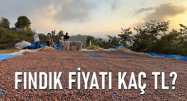 Ordu fındık fiyatı 21.05.2024