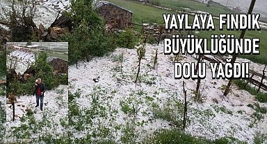 Ordu güneş beklerken kış geri geldi, yaylaya fındık büyüklüğünde dolu yağdı