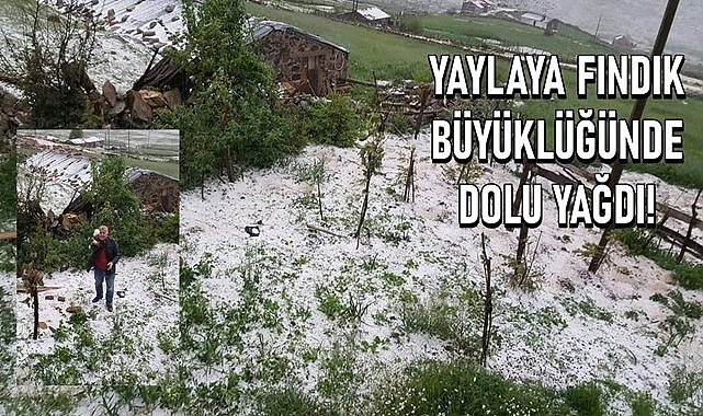 Ordu güneş beklerken kış geri geldi, yaylaya fındık büyüklüğünde dolu yağdı