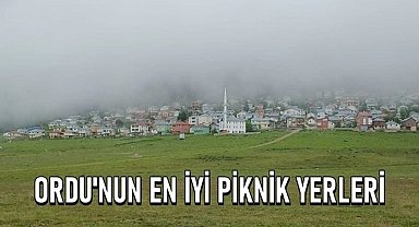 Ordu'nun en iyi piknik yerleri, Listede 16 yer var