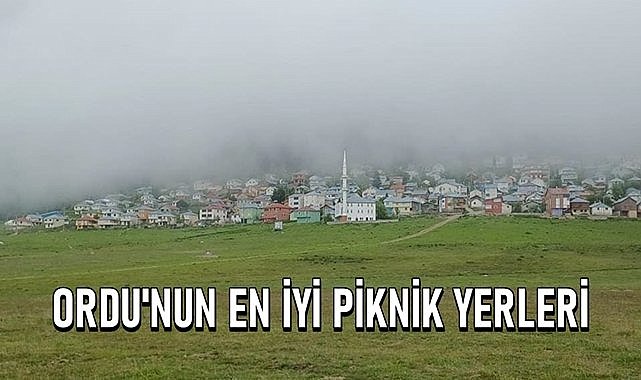 Ordu&#039;nun en iyi piknik yerleri, Listede 16 yer var