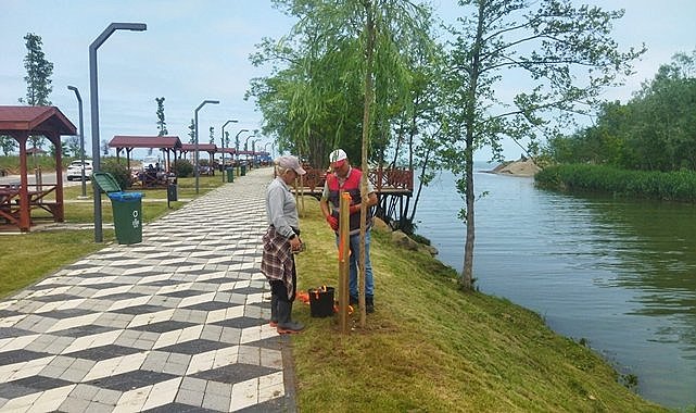 Piknikçilerin yeni gözdesi Turnasuyu Park&#039;ta yeşillik seferberliği