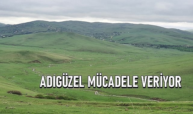 Toprağın üstündeki fındık toprağın altındaki madenden daha değerli