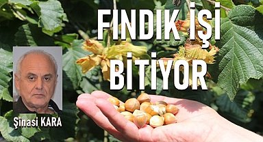 Zararın neresinden dönülürse kardır, fındık işi bitiyor!