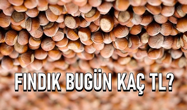 Fındık fiyatı 01.06.2024