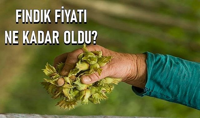 Fındık fiyatı 06.06.2024
