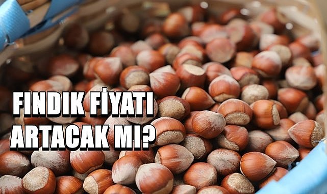 Fındık fiyatı 07 Haziran 2024