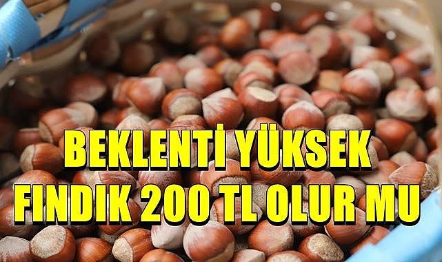 Fındık fiyatı 11.06.2024