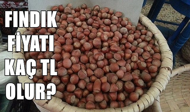 Fındık fiyatı 15.06.2024