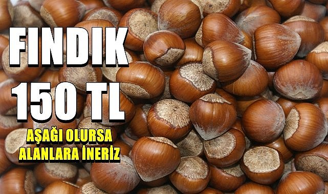 Fındık fiyatı 150 TL!  Adıgüzel fındık fiyatı için konuştu..