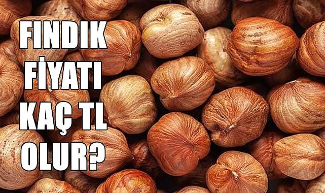 Fındık fiyatı 22.06.2024