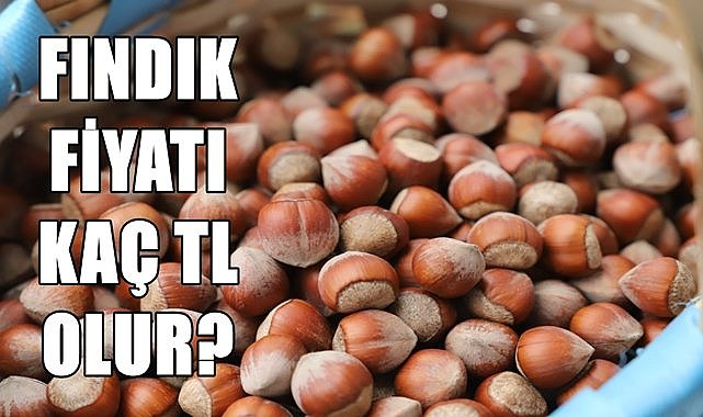 Fındık fiyatı 24.06.2024