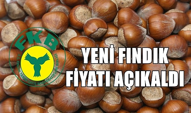 Fındık fiyatı düştü, Fiskobirlik yeni fındık fiyatı açıkladı!
