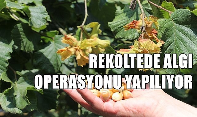 Fındık fiyatı maliyet hesabı ve enflasyona göre belirlenmeli