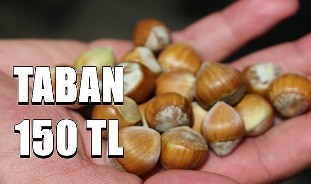 Fındık için taban fiyat 150 TL